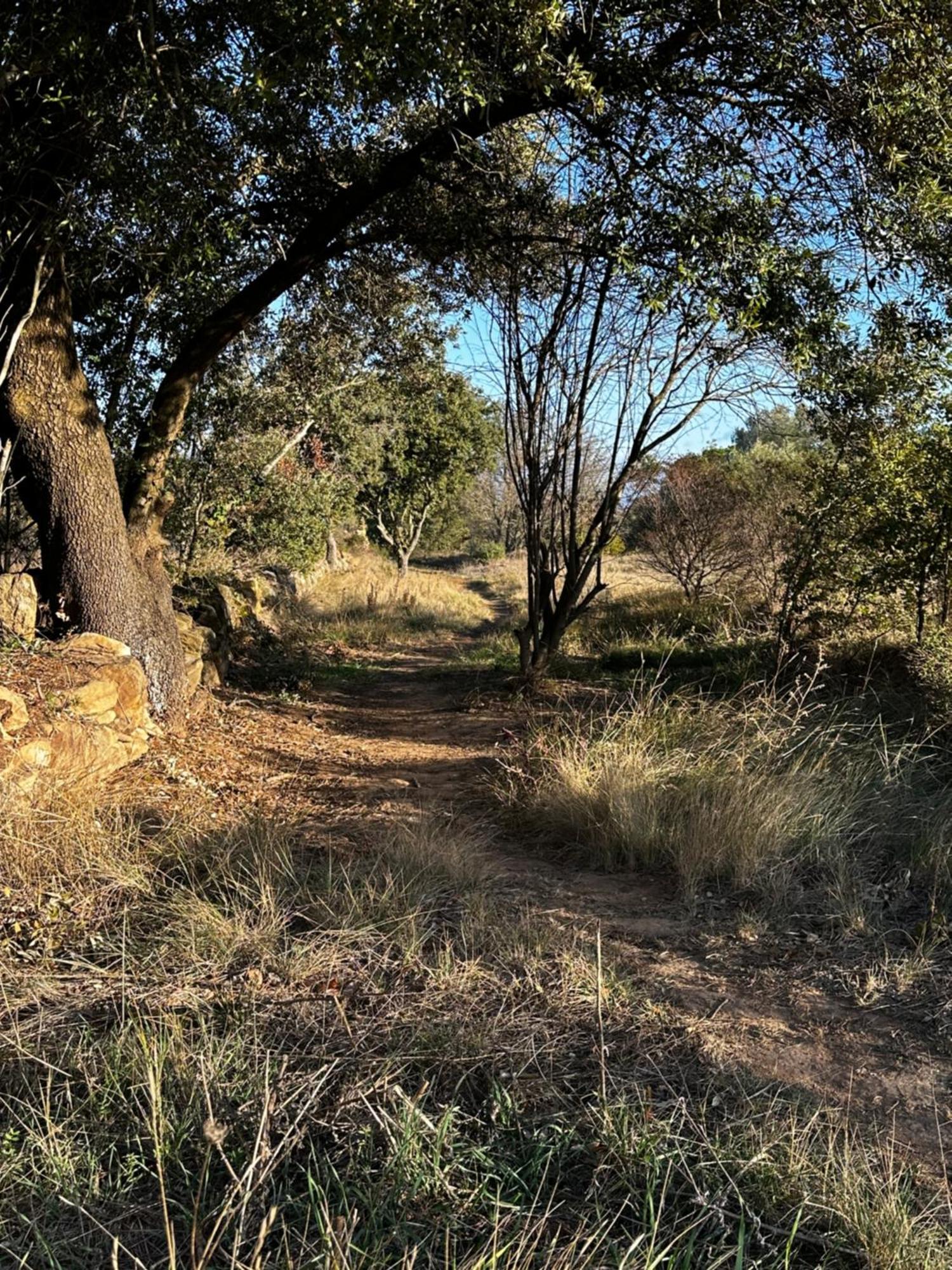 Bed and Breakfast Oasis Des Corbieres Boutenac Екстер'єр фото